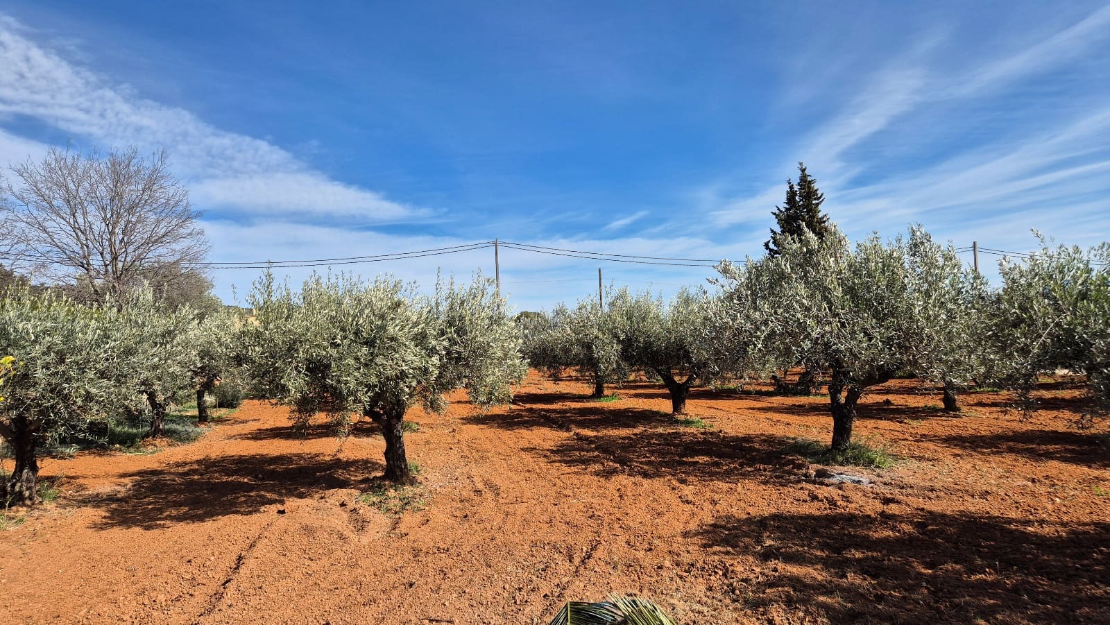 5 Zimmer Villa zu verkaufen in Ontinyent mit Garage - 280.000 € (Ref: 9611866)