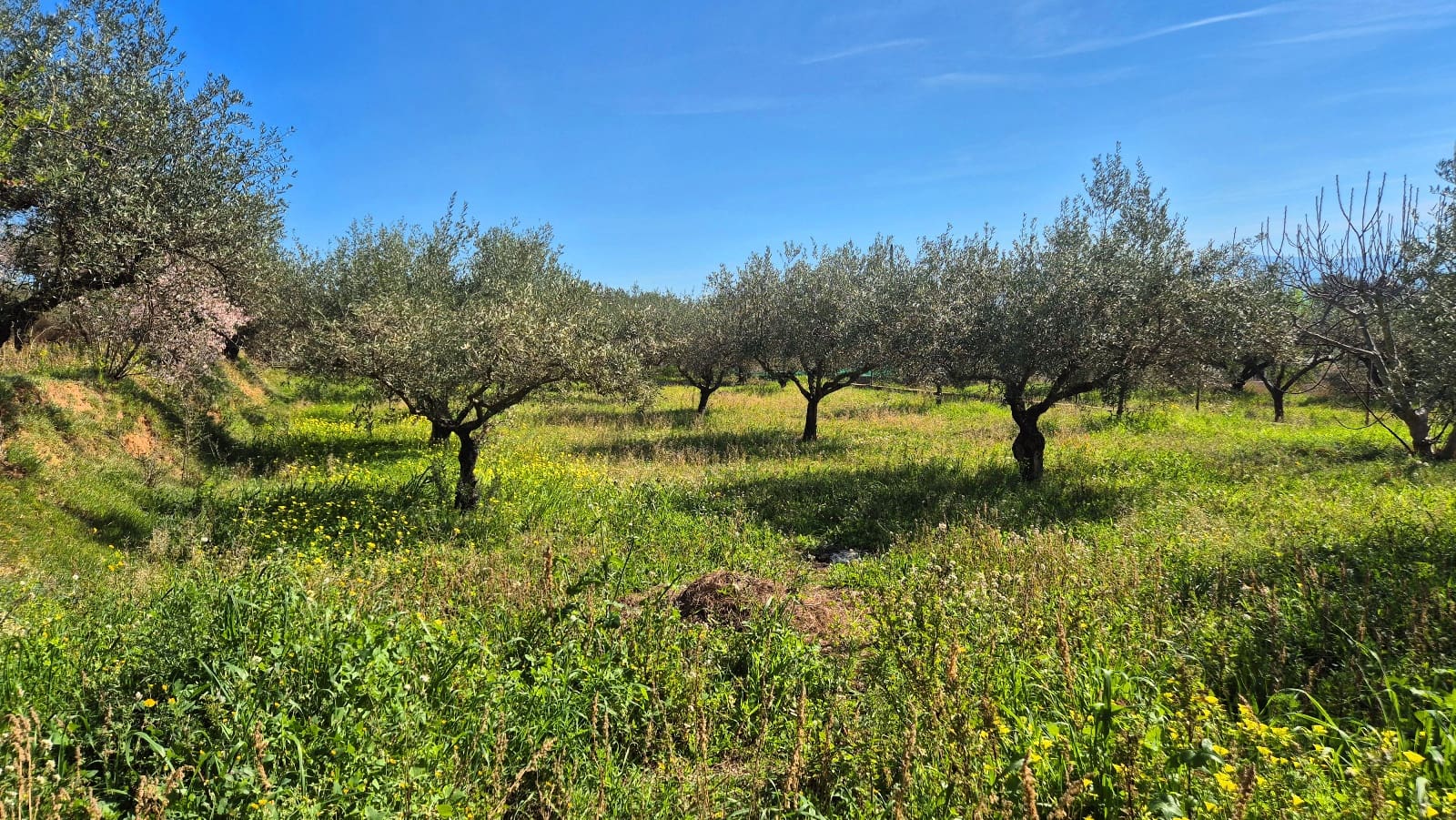 2 camera da letto Villa in vendita in Ontinyent con piscina garage - 270.000 € (Rif: 9623188)