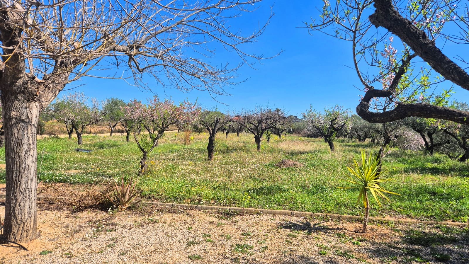 2 camera da letto Villa in vendita in Ontinyent con piscina garage - 270.000 € (Rif: 9623188)