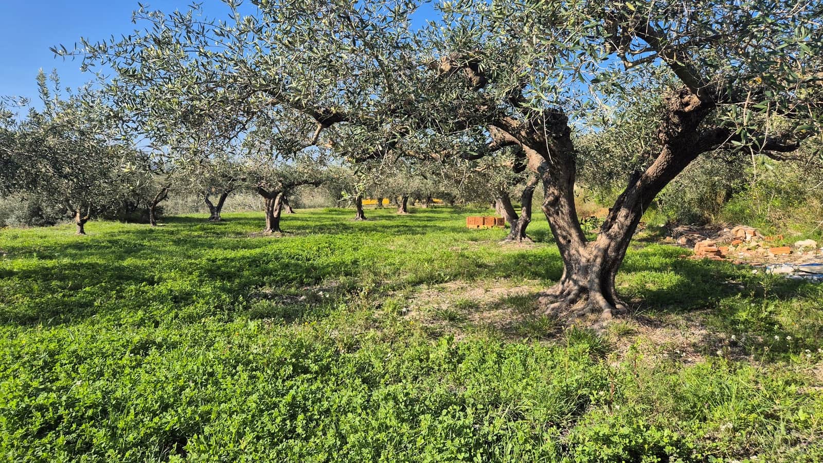 3 bedroom Villa for sale in Ontinyent with pool garage - € 260,000 (Ref: 9715333)