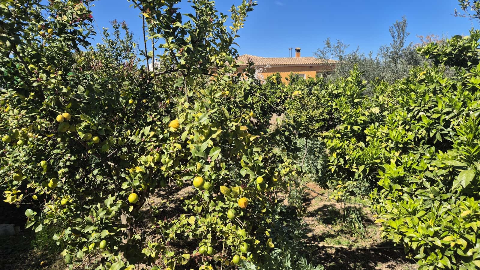 5 sypialnia Willa na sprzedaż w Ontinyent z basenem garażem - 315 000 € (Ref: 9737260)