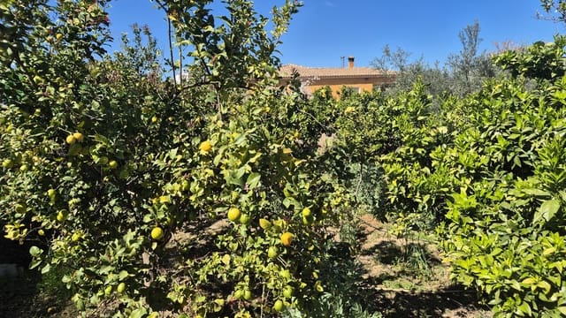 5 sypialnia Willa na sprzedaż w Ontinyent z basenem garażem - 315 000 € (Ref: 9737260)