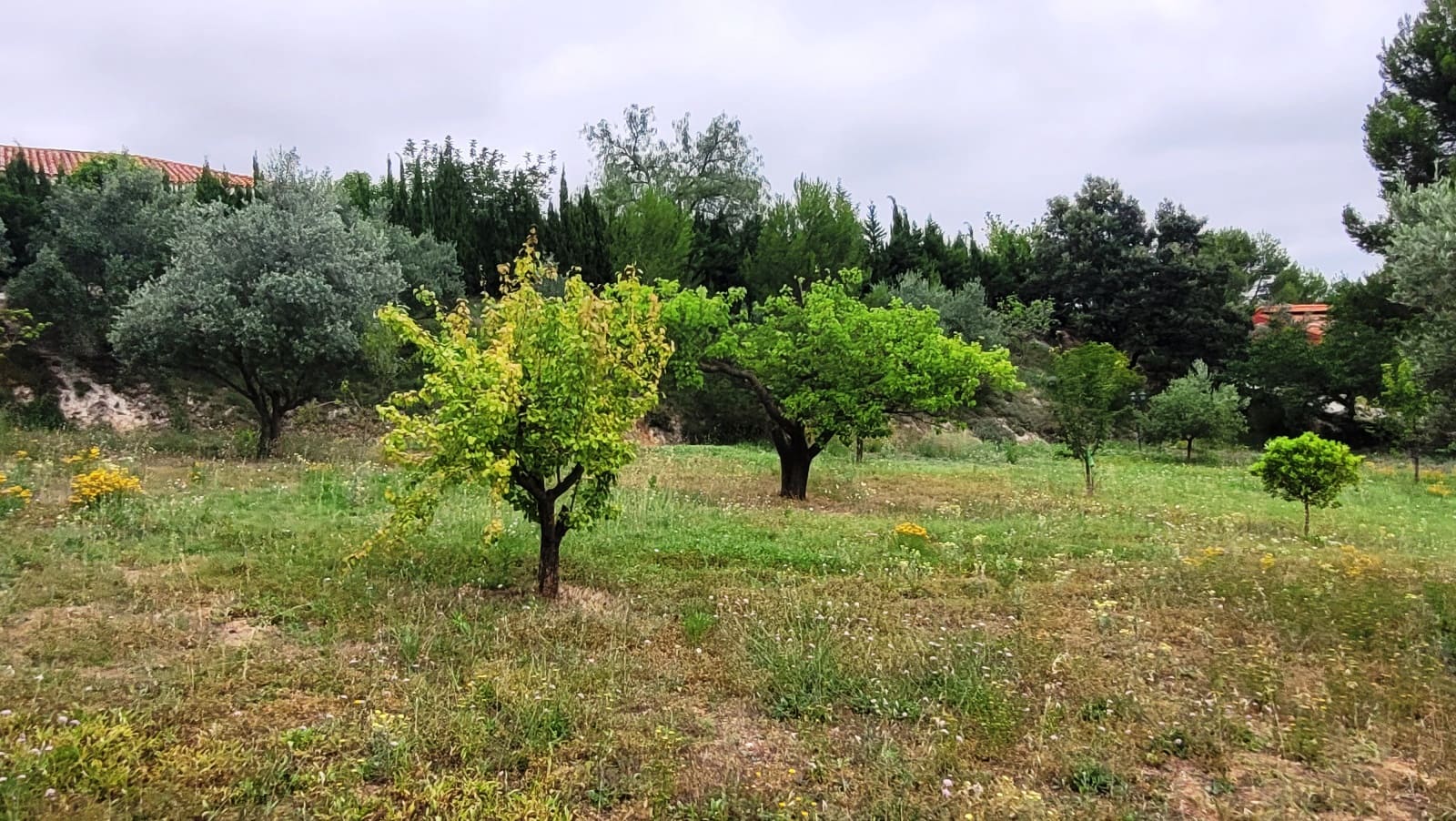 4 chambre Villa/Maison à vendre à Ontinyent avec piscine garage - 250 000 € (Ref: 9950886)
