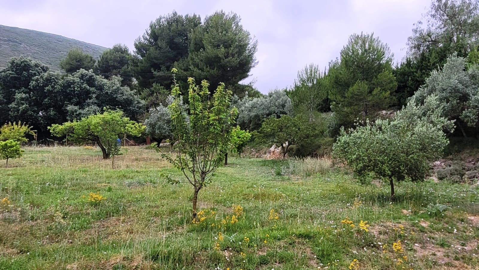 4 chambre Villa/Maison à vendre à Ontinyent avec piscine garage - 250 000 € (Ref: 9950886)