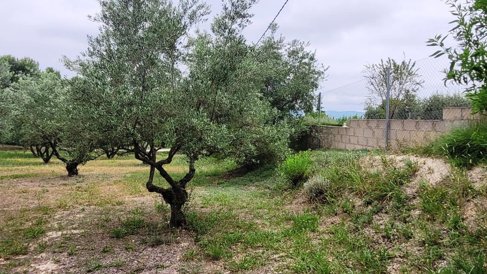 4 bedroom Villa for sale in Ontinyent with pool garage - € 250,000 (Ref: 9950886)