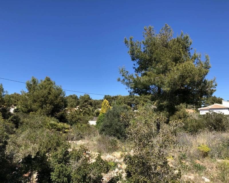 Bauplatz zu verkaufen in Javea / Xabia - 445.000 € (Ref: 5901740)