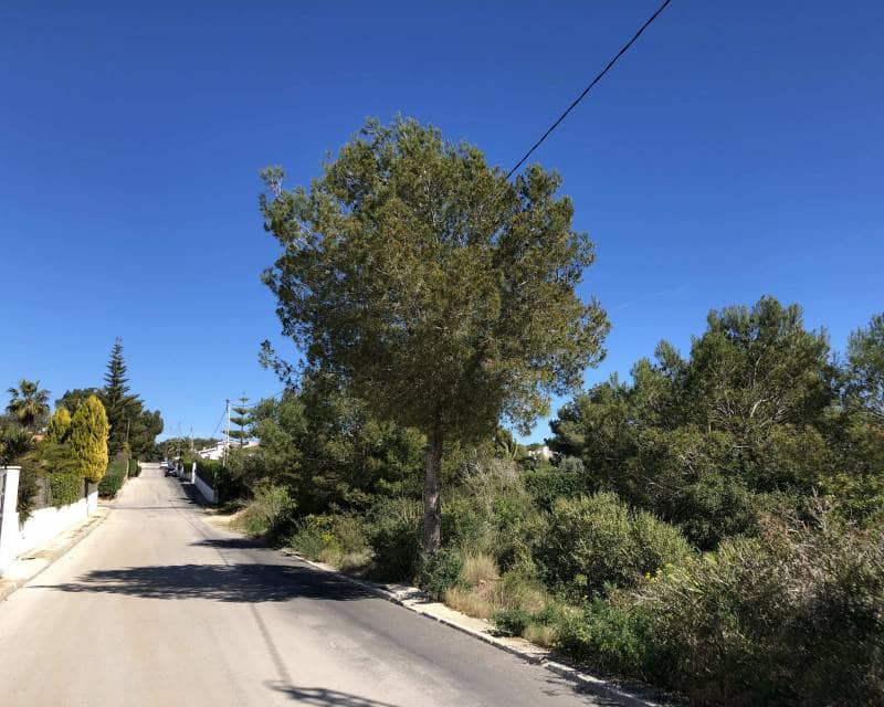 Bauplatz zu verkaufen in Javea / Xabia - 445.000 € (Ref: 5901740)