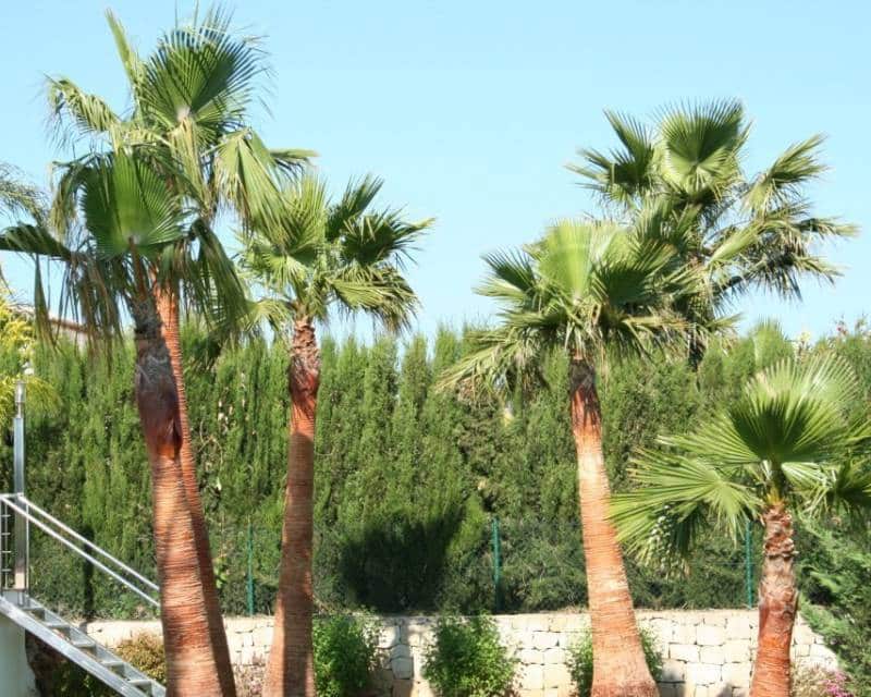 3 soveværelse Villa til salg i Javea / Xabia med swimmingpool - € 1.215.000 (Ref: 5902122)