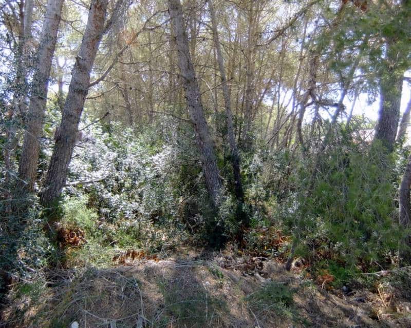 Terrain à Bâtir à vendre à Javea / Xabia - 192 000 € (Ref: 5980669)