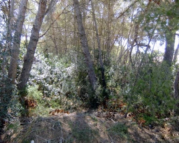 Tomt till salu i Javea / Xàbia - 192 000 € (Ref: 5980669)