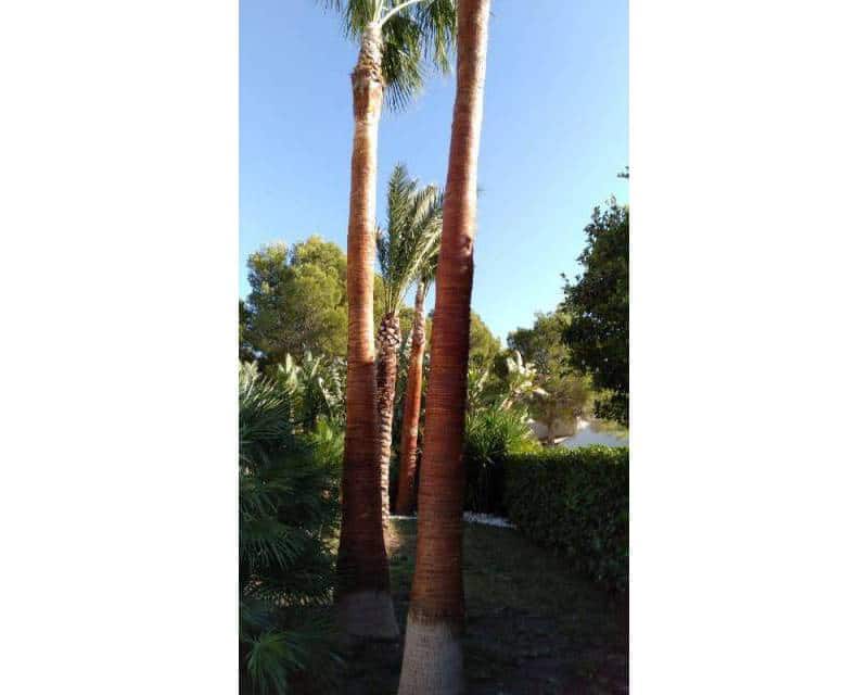 6 bedroom Villa for sale in Altea with pool - € 6,500,000 (Ref: 6566643)