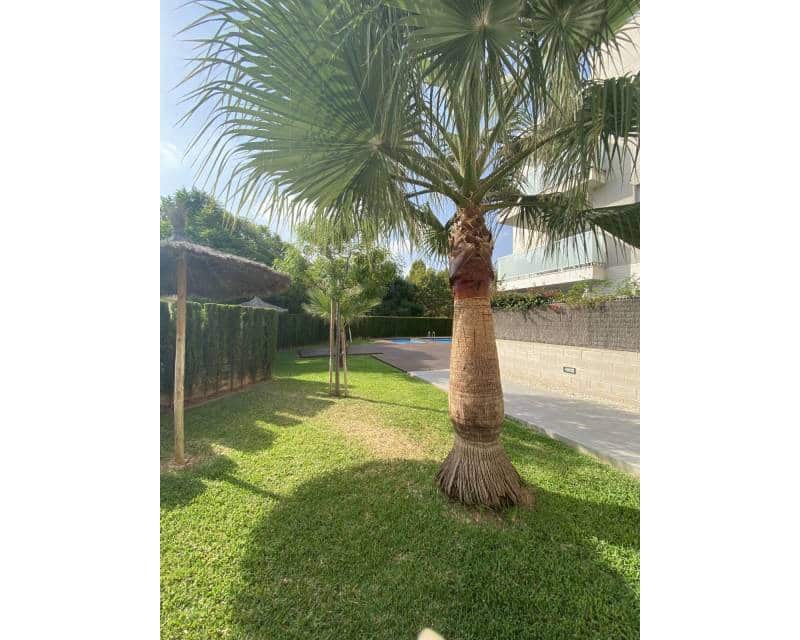 4 Zimmer Apartment zu vermieten in Javea / Xabia mit Pool Garage - 1.500 € (Ref: 8790326)