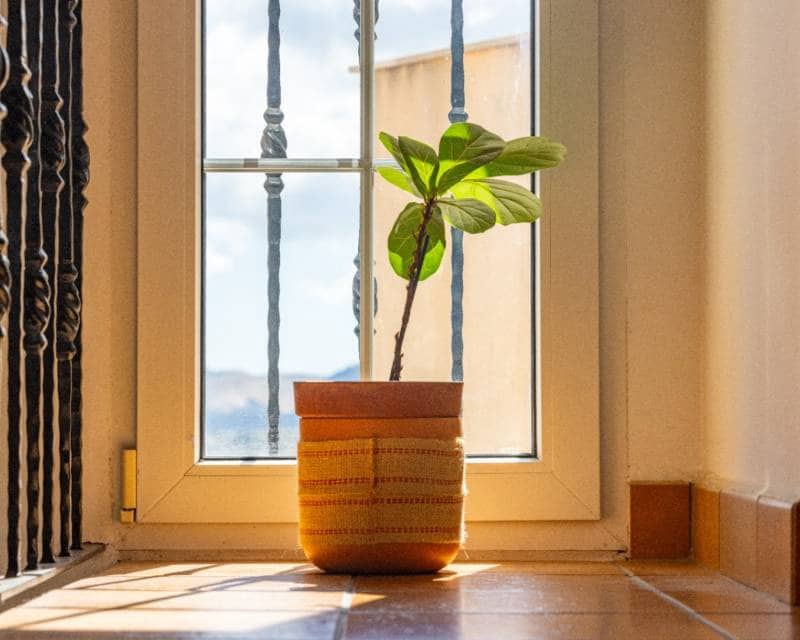 3 Zimmer Reihenhaus zu verkaufen in Jesus Pobre - 262.500 € (Ref: 8893813)