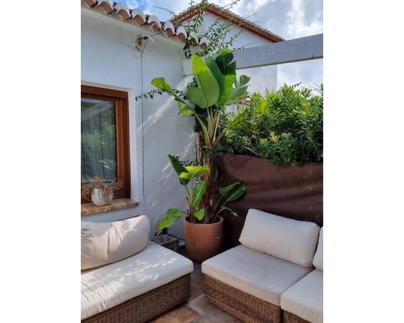 3 soverom Villa til leie i Javea / Xabia med svømmebasseng - € 1 800 (Ref: 9099676)