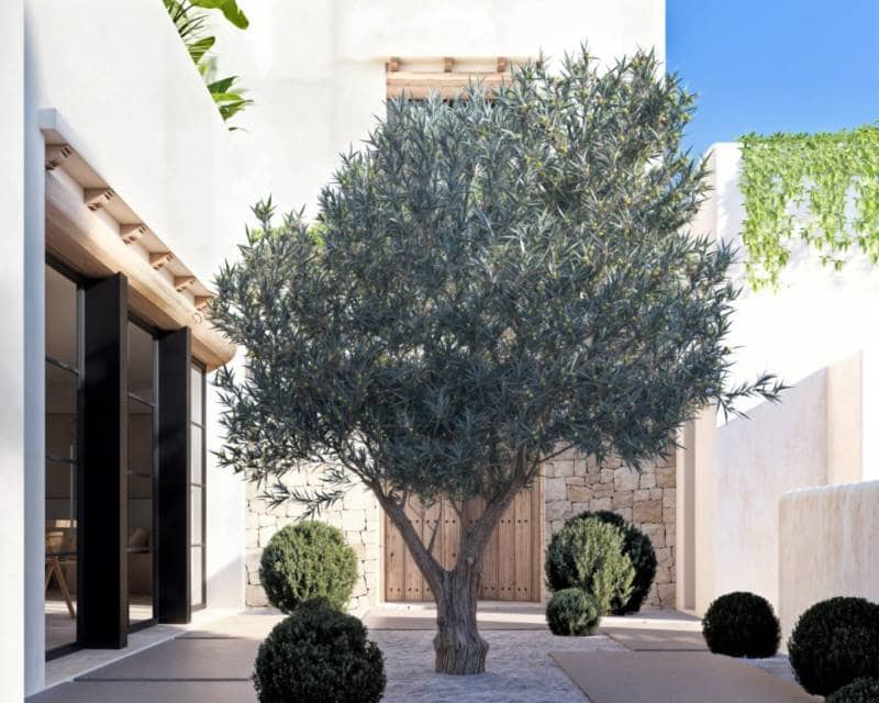 4 bedroom Villa for sale in Denia with pool - € 1,890,000 (Ref: 9099678)