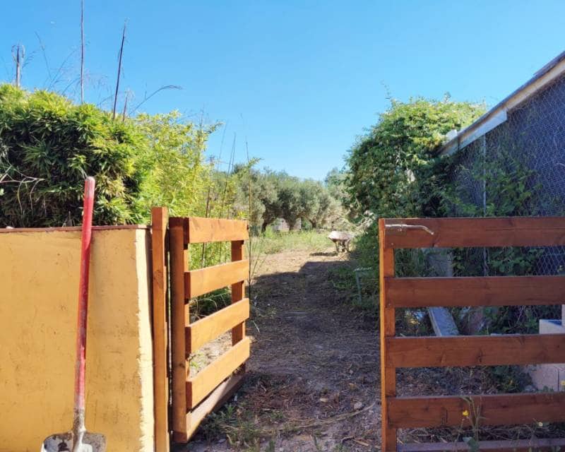 3 bedroom Finca/Country House for sale in Teulada with pool - € 530,000 (Ref: 9357714)
