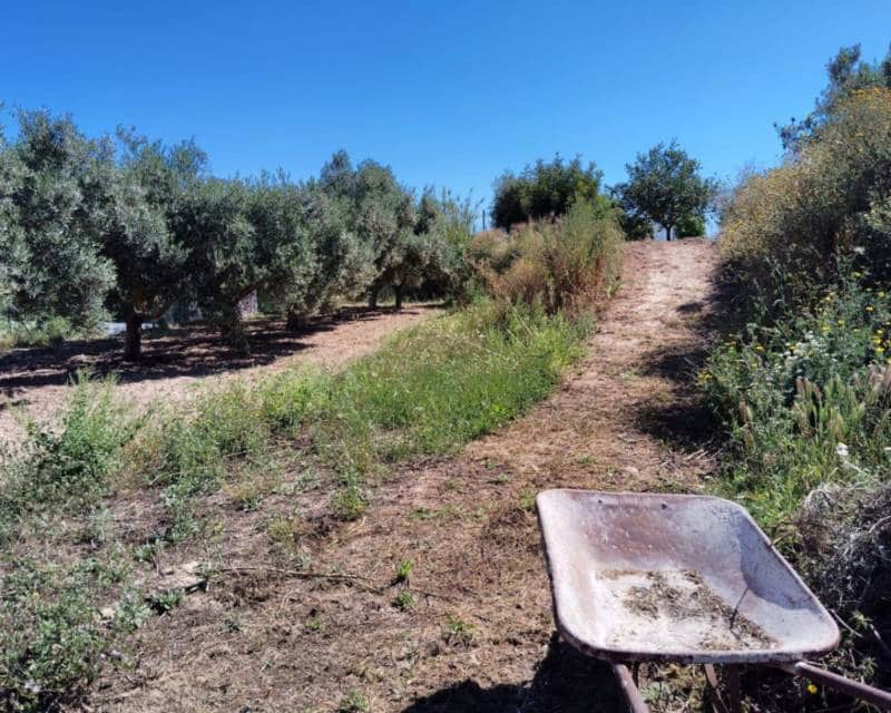 3 bedroom Finca/Country House for sale in Teulada with pool - € 530,000 (Ref: 9357714)