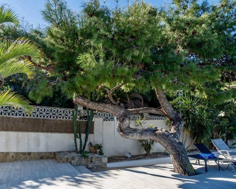 3 sovrum Villa till salu i Denia med pool garage - 1 590 000 € (Ref: 9457742)