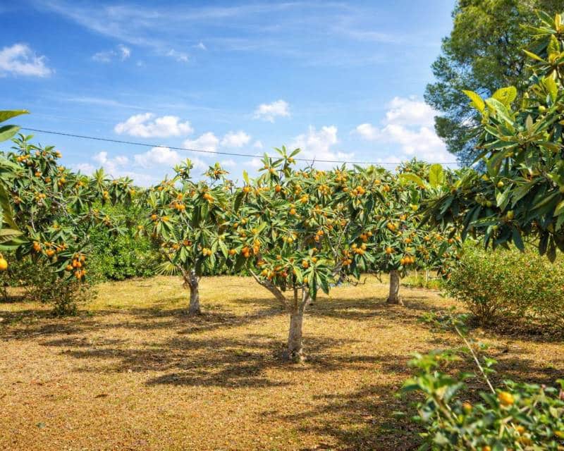 4 bedroom Villa for sale in Denia with pool garage - € 780,000 (Ref: 9782234)