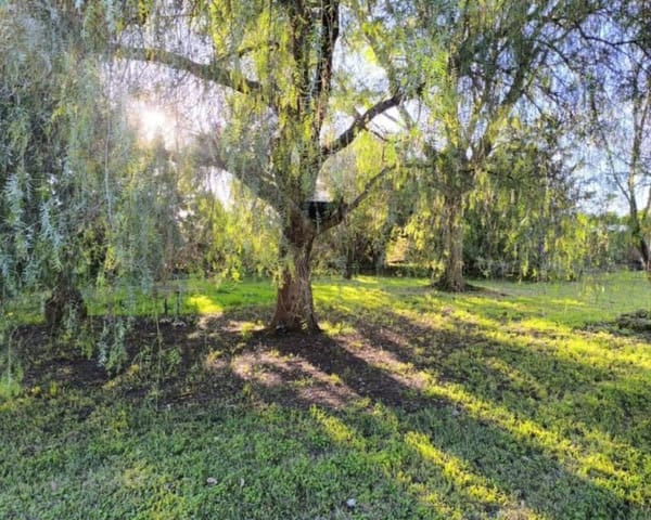 5 camera da letto Villa in vendita in Ondara con piscina - 1.400.000 € (Rif: 9892606)