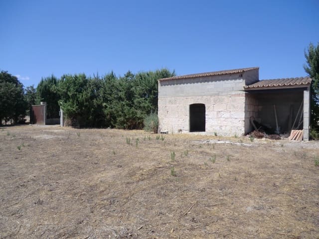Undeveloped Land for sale in Muro - € 95,000 (Ref: 10041087)