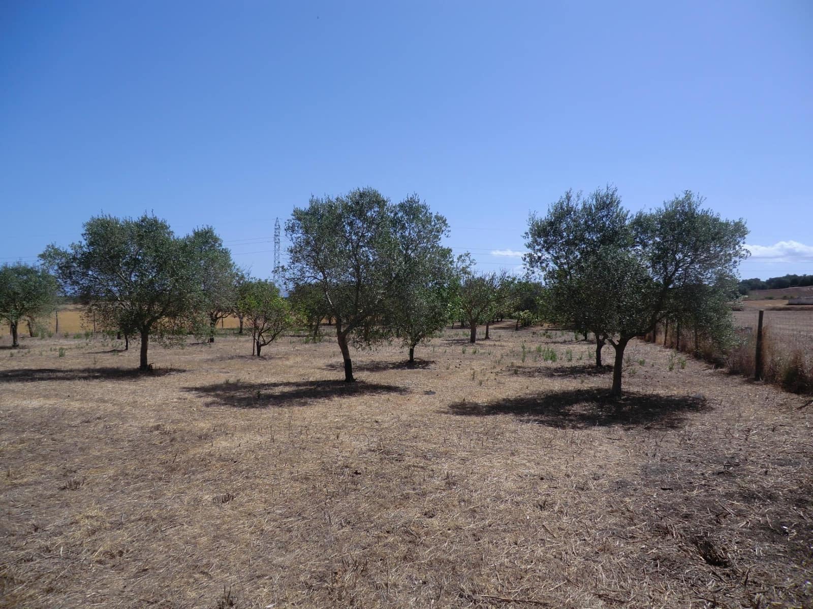 Terreno Non Edificato in vendita in Muro - 95.000 € (Rif: 10043002)