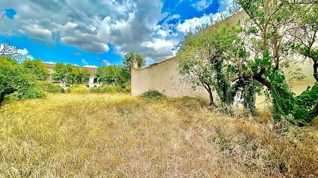 Building Plot for sale in Llubí - € 132,000 (Ref: 9252315)