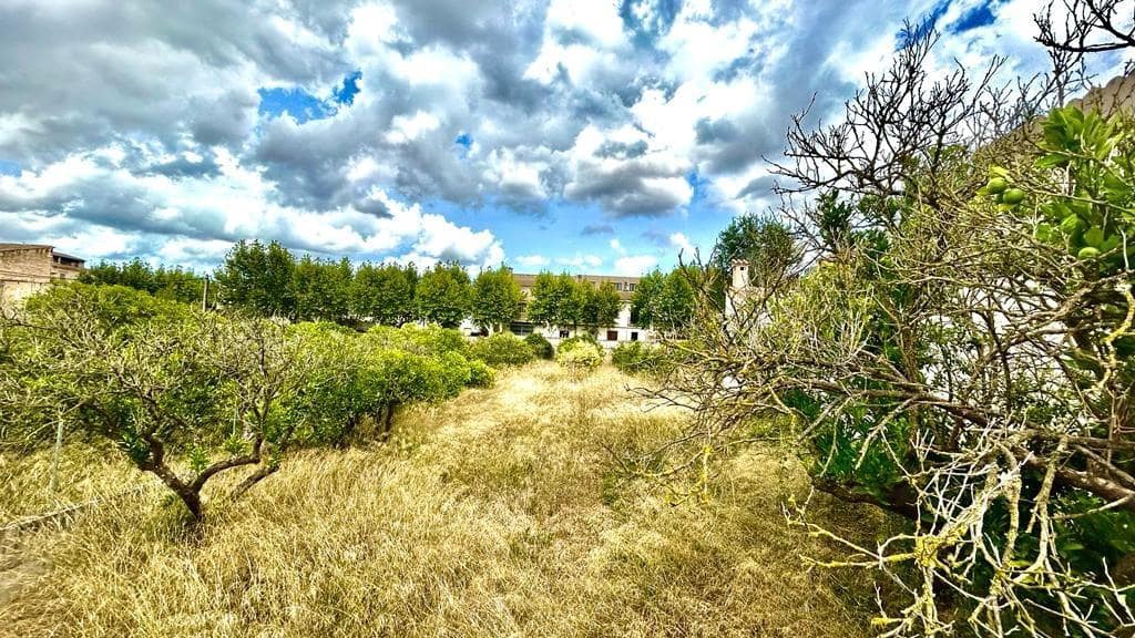 Terreno para Construção para venda em Llubi - 132 000 € (Ref: 9252315)