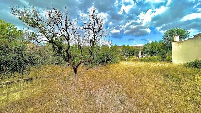 Building Plot for sale in Llubí - € 132,000 (Ref: 9252315)