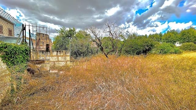 Building Plot for sale in Llubí - € 132,000 (Ref: 9252315)