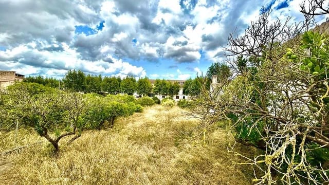 Solar/Parcela en Llubí en venta - 132.000 € (Ref: 9252315)