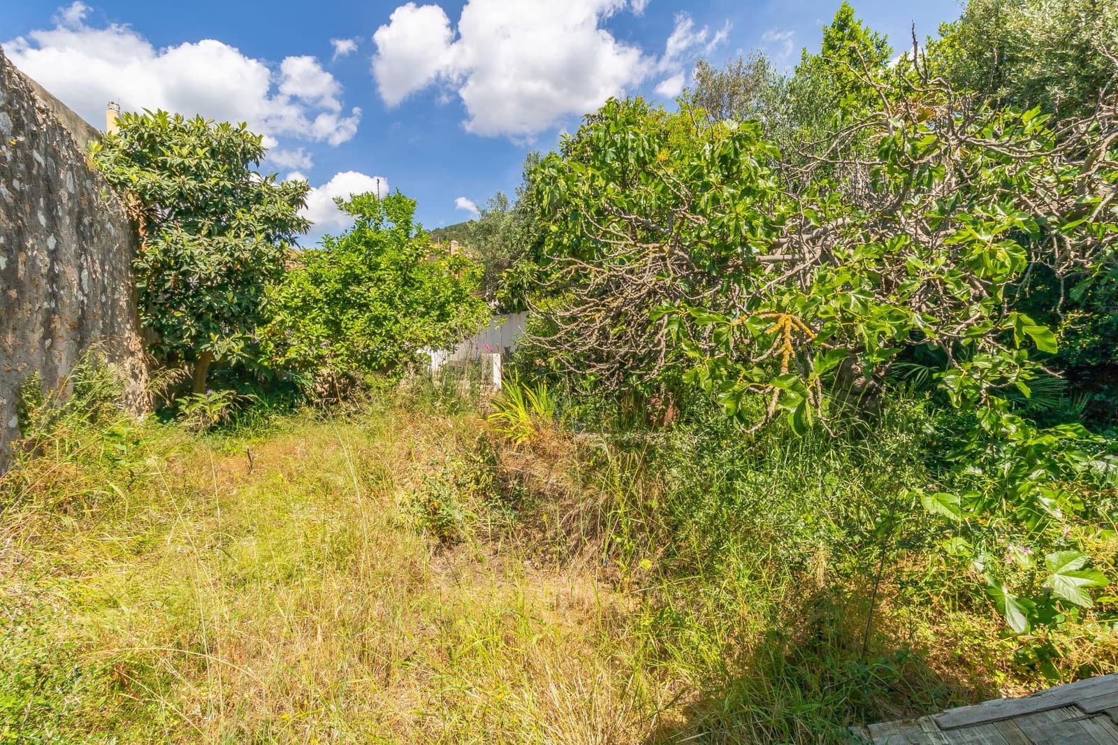 3 chambre Villa/Maison à vendre à Alaro - 775 000 € (Ref: 9252316)