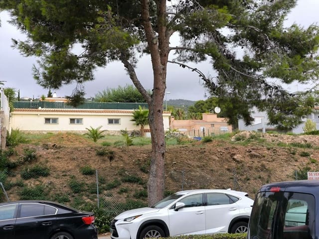 Undeveloped Land for sale in Alcossebre, Alcalá de Xivert - € 600,000 (Ref: 9195246)