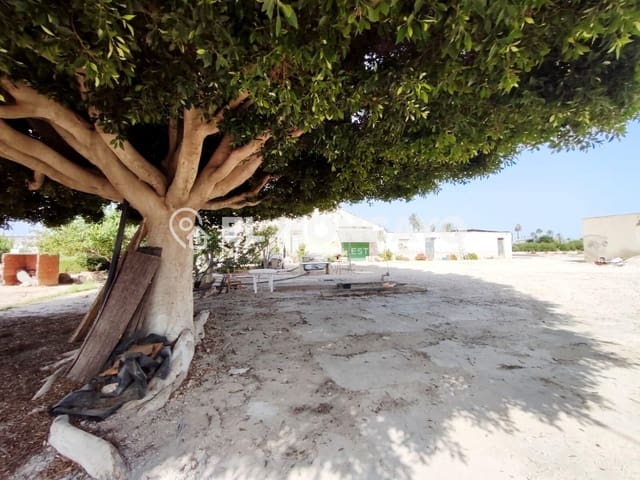 4 Zimmer Finca/Landgut zu verkaufen in Las Bayas, Elche / Elx - 320.000 € (Ref: 10011462)