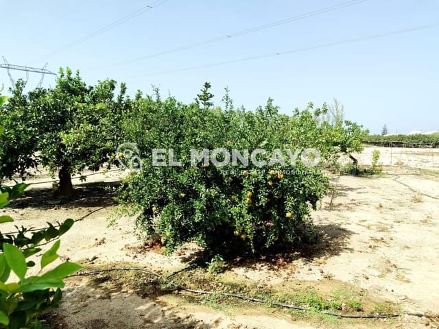 4 Zimmer Finca/Landgut zu verkaufen in Las Bayas, Elche / Elx - 320.000 € (Ref: 10011462)