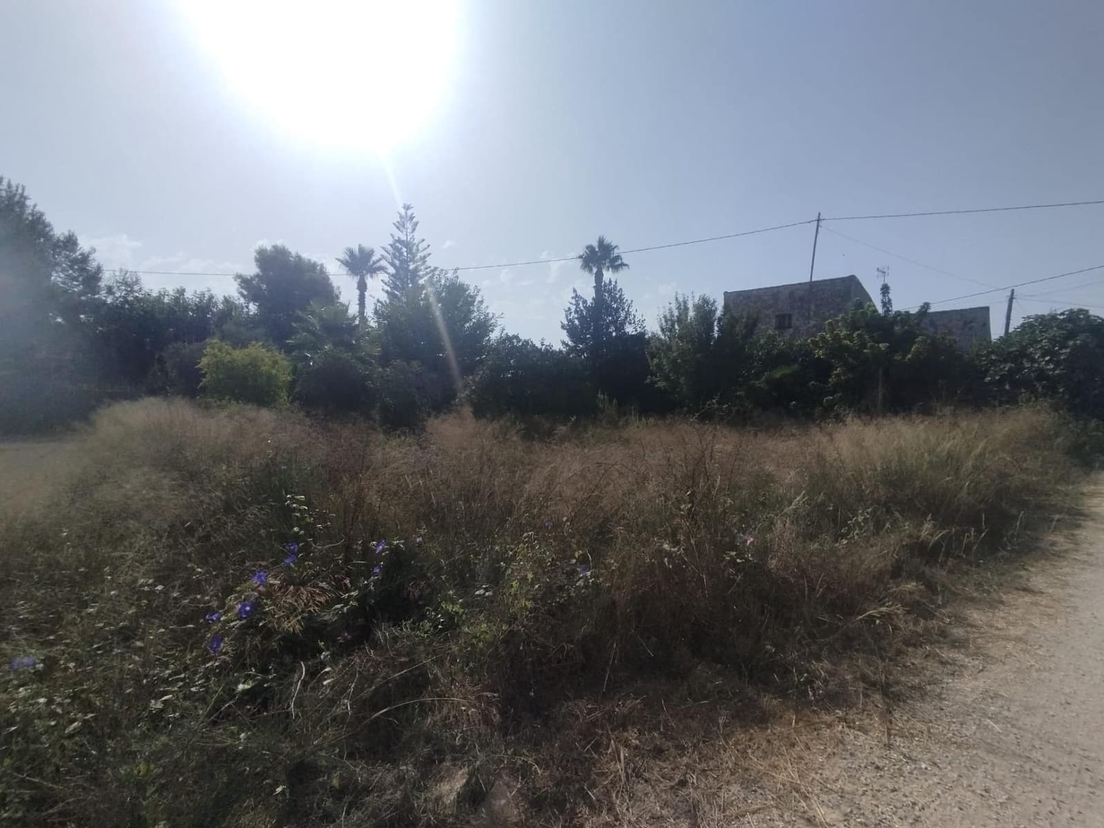 5 sovrum Finca/Hus på landet till salu i Formentera del Segura med pool garage - 140 000 € (Ref: 10015570)