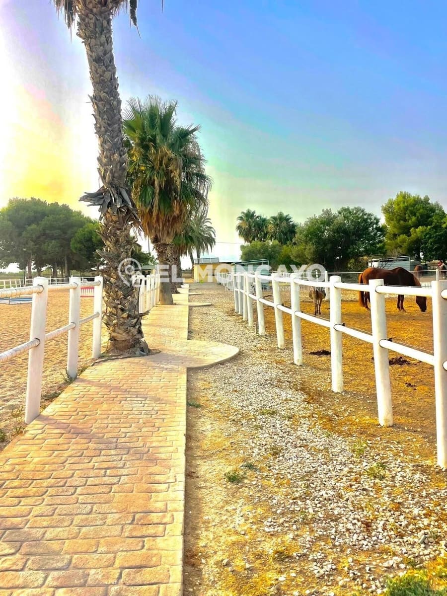 3 bedroom Finca/Country House for sale in Dolores with pool - € 550,000 (Ref: 10024135)