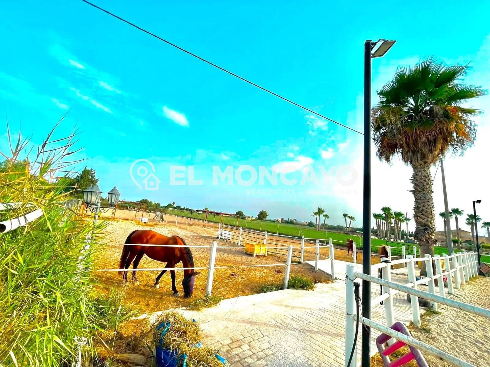 3 bedroom Finca/Country House for sale in Dolores with pool - € 550,000 (Ref: 10024135)