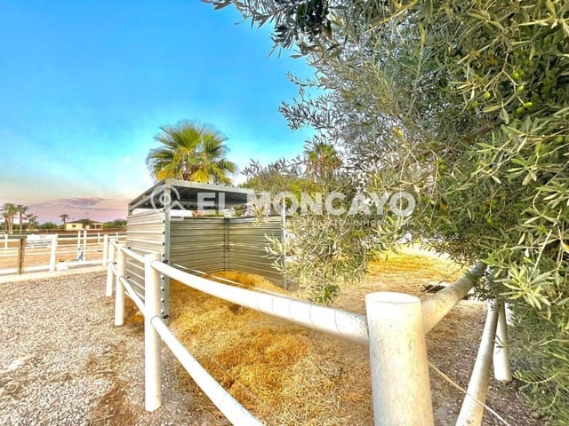 3 bedroom Finca/Country House for sale in Dolores with pool - € 550,000 (Ref: 10024135)