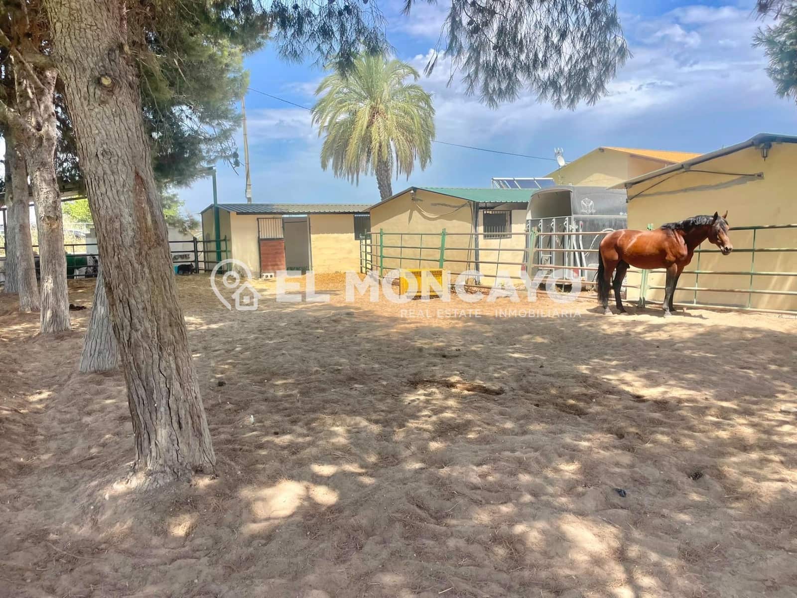 3 bedroom Finca/Country House for sale in Dolores with pool - € 550,000 (Ref: 10024135)