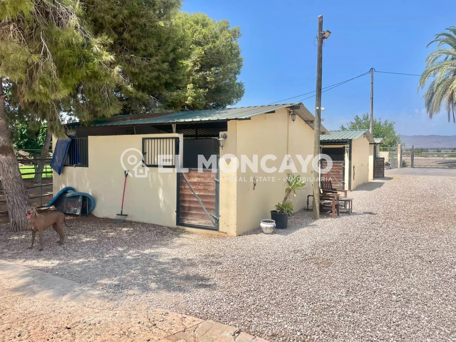3 bedroom Finca/Country House for sale in Dolores with pool - € 550,000 (Ref: 10024135)