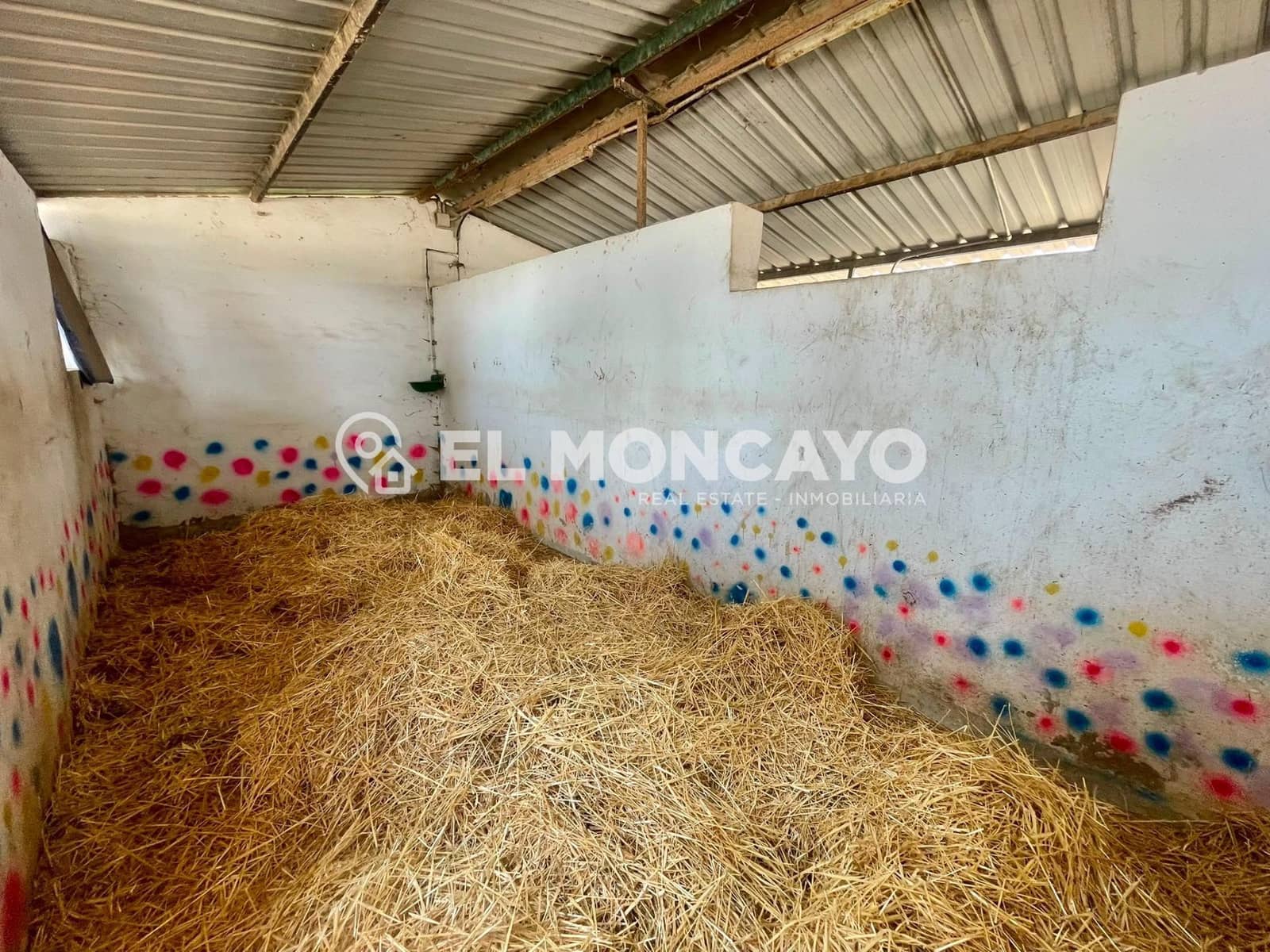 3 bedroom Finca/Country House for sale in Dolores with pool - € 550,000 (Ref: 10024135)