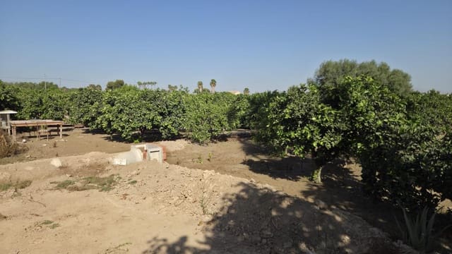 1 sypialnia Finka/Dom wiejski na sprzedaż w Formentera del Segura - 123 000 € (Ref: 10055262)