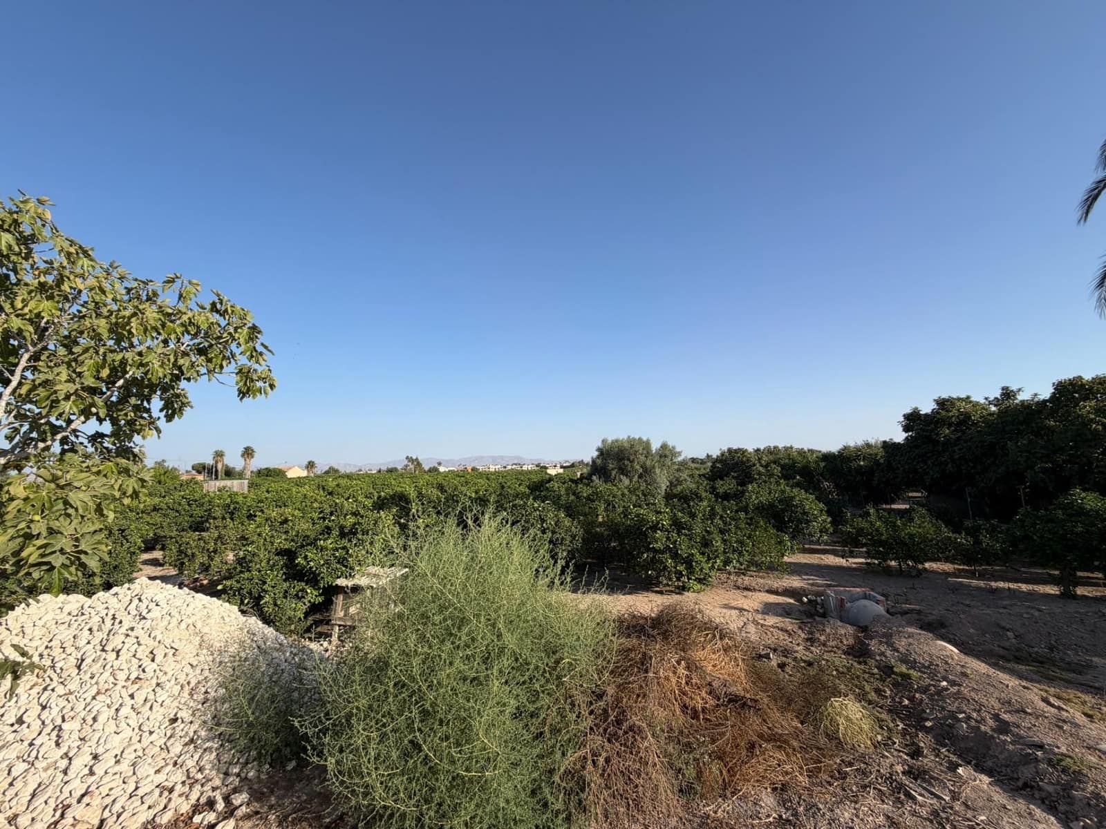 1 camera da letto Finca/Casa di Campagna in vendita in Formentera del Segura - 123.000 € (Rif: 10055262)