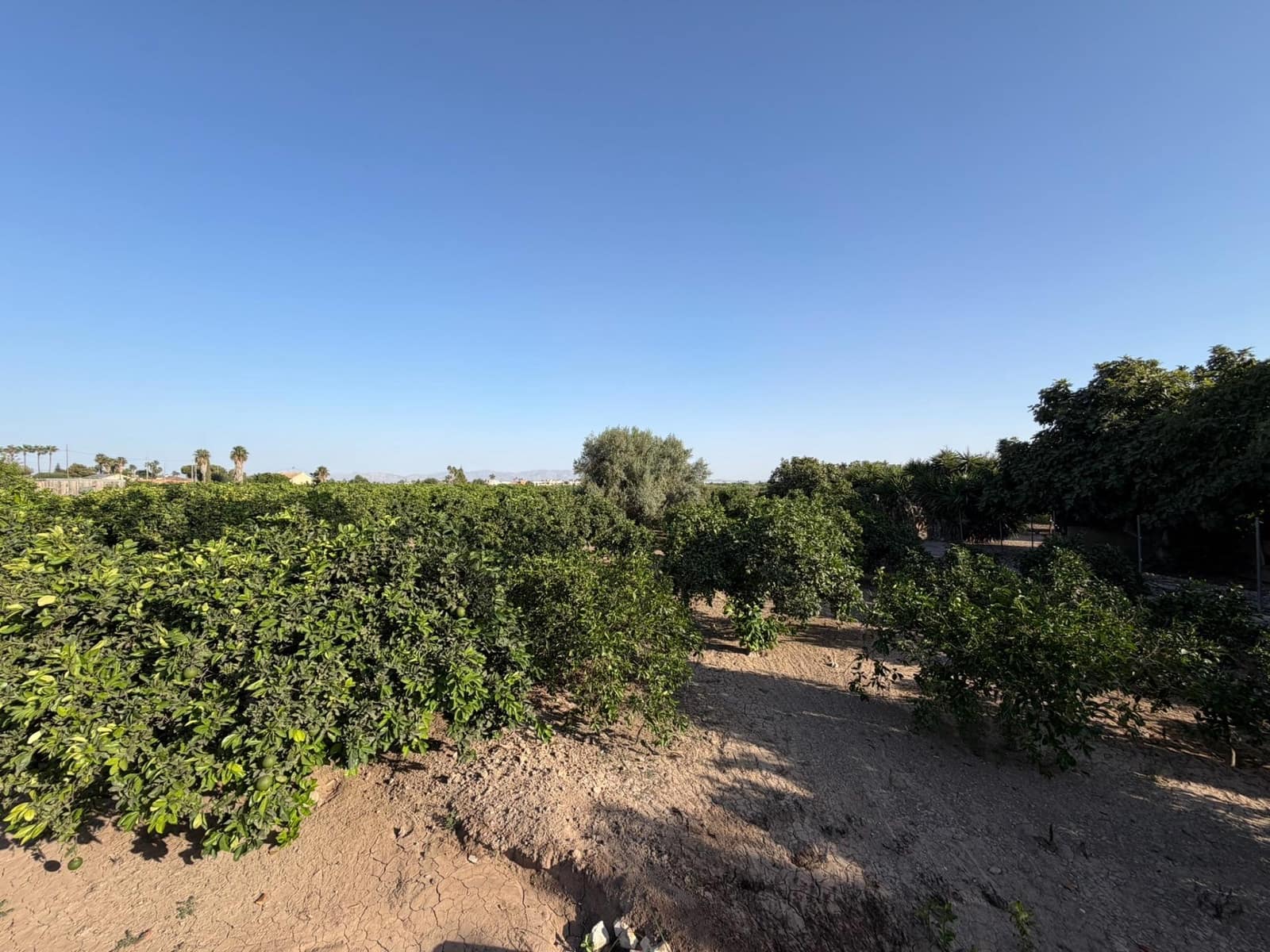1 camera da letto Finca/Casa di Campagna in vendita in Formentera del Segura - 123.000 € (Rif: 10055262)