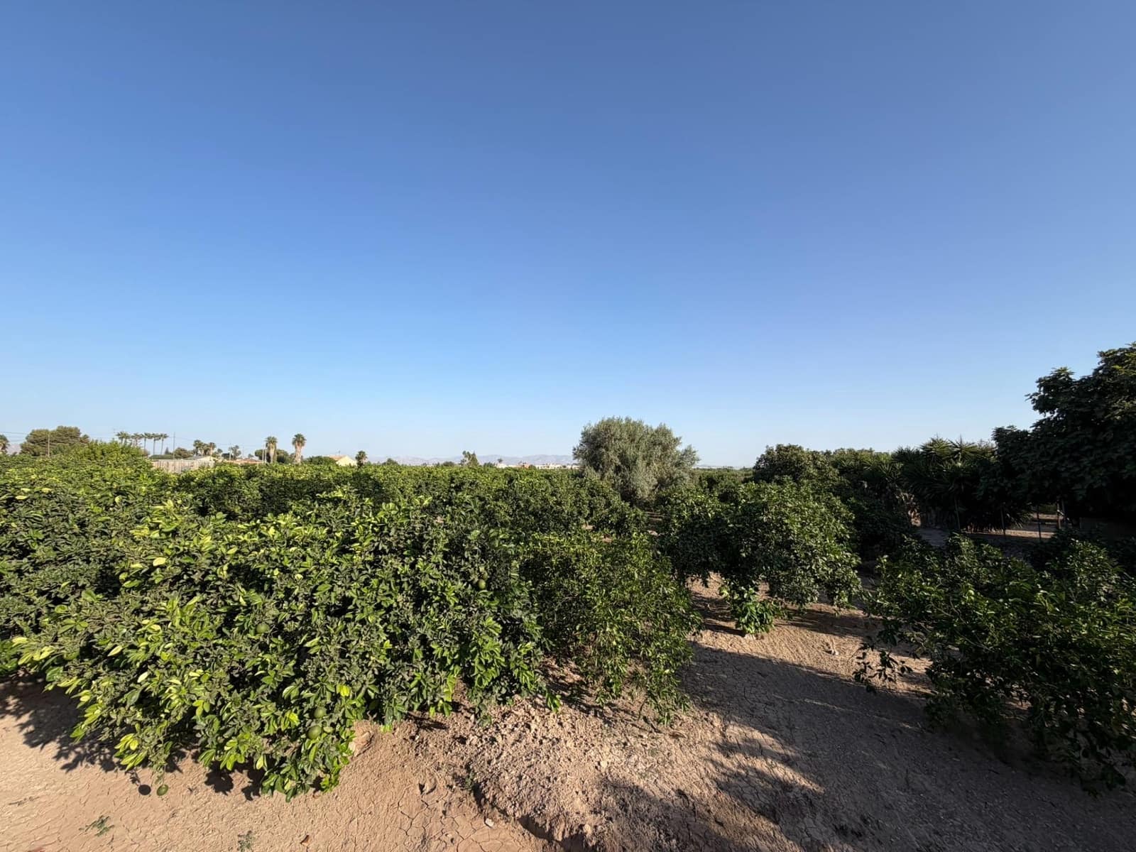 1 camera da letto Finca/Casa di Campagna in vendita in Formentera del Segura - 123.000 € (Rif: 10055262)