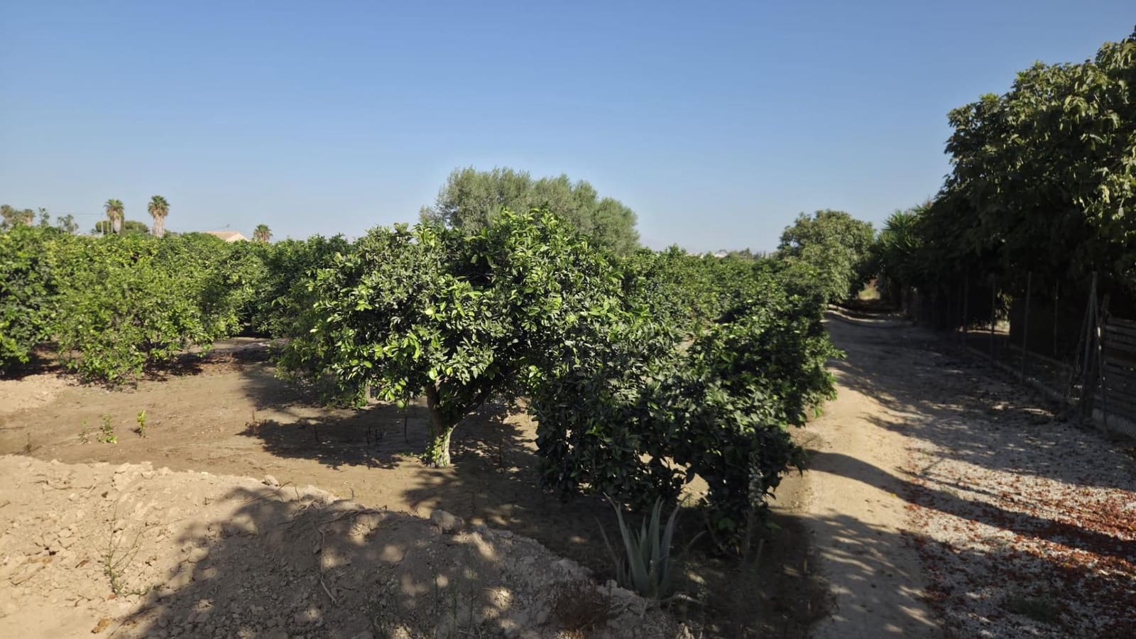 1 camera da letto Finca/Casa di Campagna in vendita in Formentera del Segura - 123.000 € (Rif: 10055262)