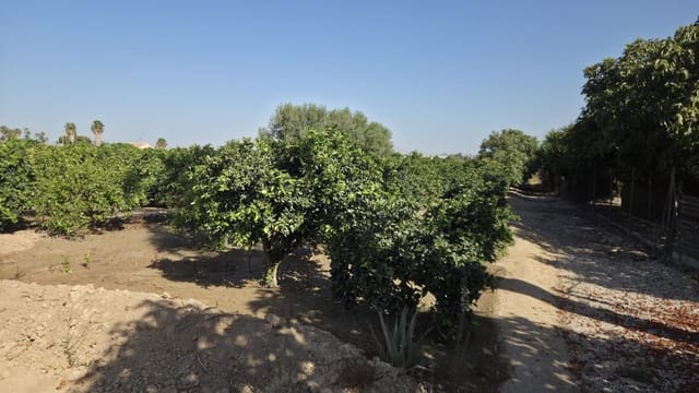 1 sypialnia Finka/Dom wiejski na sprzedaż w Formentera del Segura - 123 000 € (Ref: 10055262)