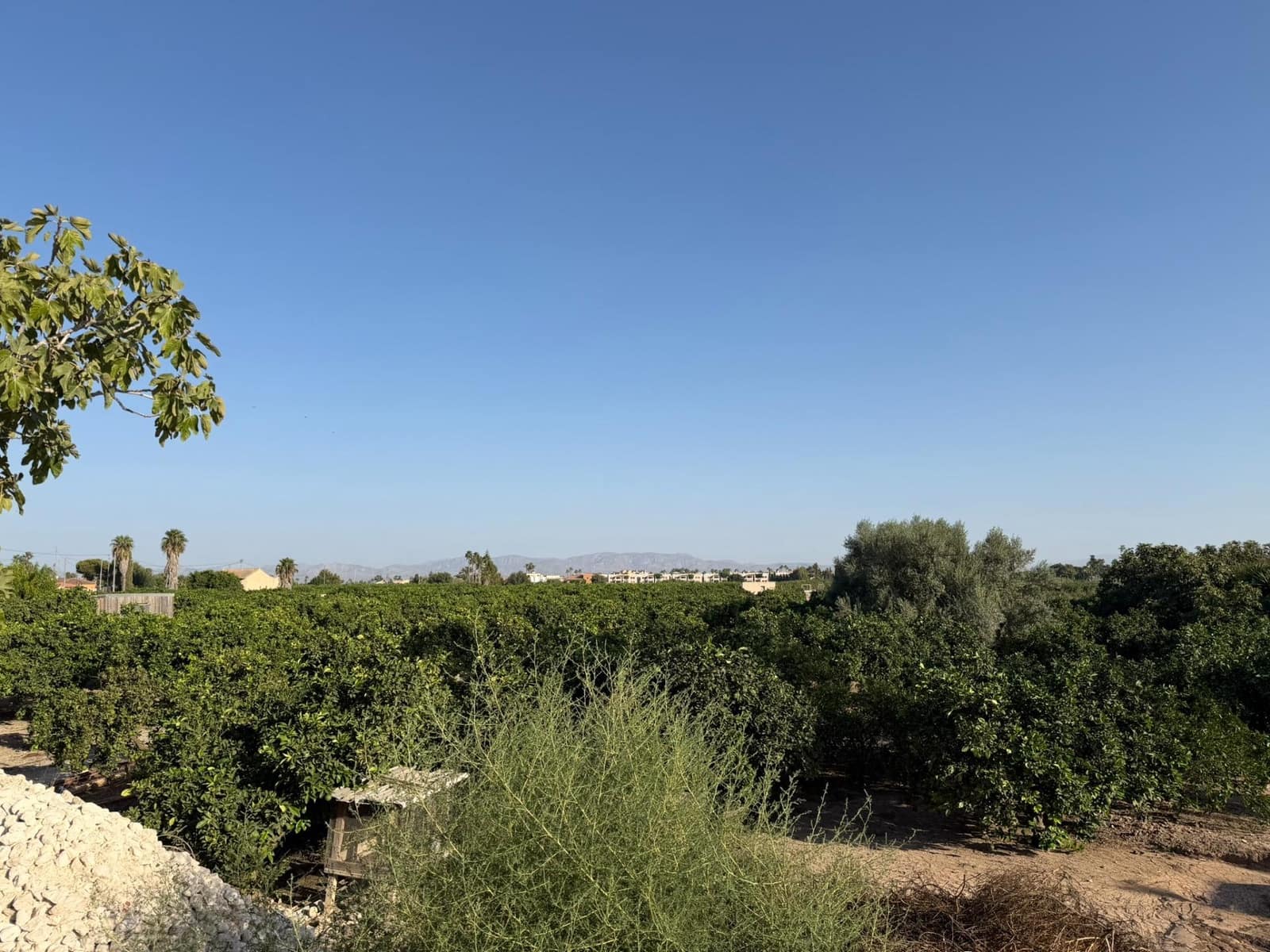 1 camera da letto Finca/Casa di Campagna in vendita in Formentera del Segura - 123.000 € (Rif: 10055262)