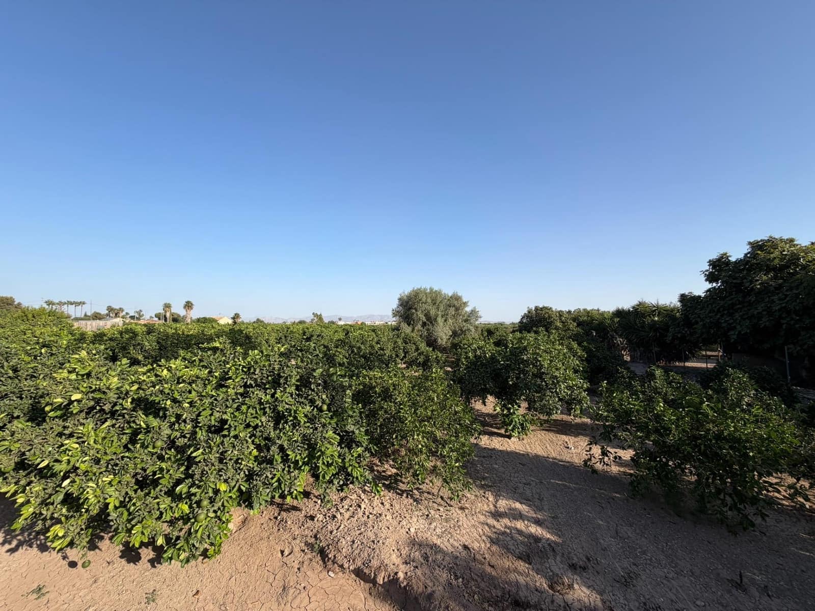 1 camera da letto Finca/Casa di Campagna in vendita in Formentera del Segura - 123.000 € (Rif: 10055262)